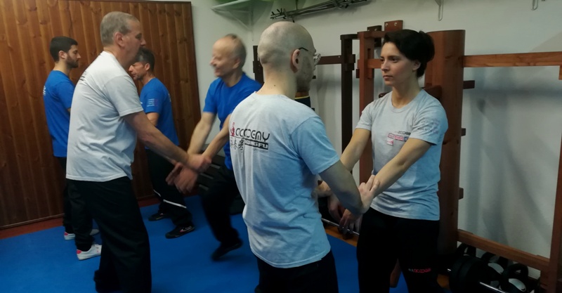 Kung Fu Caserta Wing Chun Caserta Italia con Sifu Mezzone wing tjun wing tsun sanda tai chi taiji kungfuitalia.it arti marziali (31)